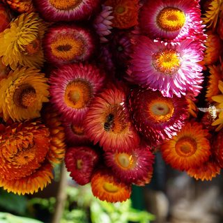 Baguio Marathon – Baguio City, Philippinen