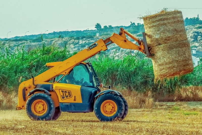16. TCS Clark Animo International Marathon – Clark Pampanga, Philippinen