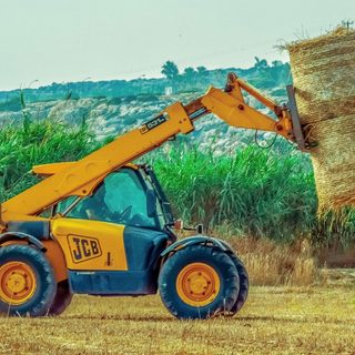 16. TCS Clark Animo International Marathon – Clark Pampanga, Philippinen