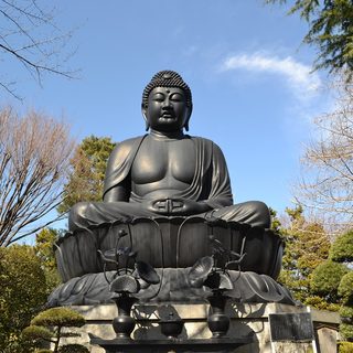 25. Itabashi City Marathon – Itabashi, Japan