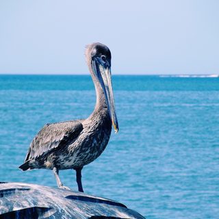 4. Maratona de Joao Pessoa – Joao Pessoa, Brasilien