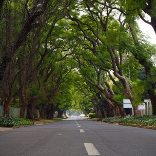 Johannesburg City Marathon (79. Jackie Gibson Marathon) – Johannesburg, Südafrika