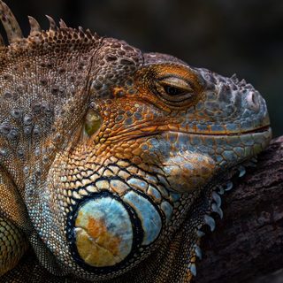 24. Oberbank Linz Donau Marathon – Linz, Österreich