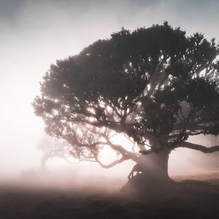 10. Lisbon ecoMarathon – Lissabon, Portugal