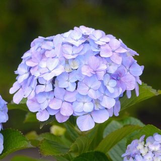 Biwako Marathon – Otsu City, Japan