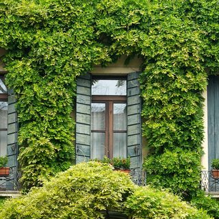 26. Padova Marathon – Padua, Italien