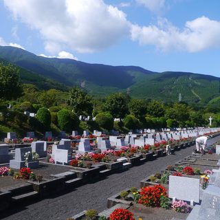 Shizuoka Marathon – Shizuoka City, Japan