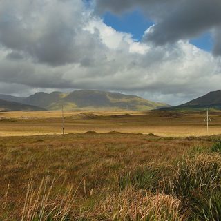15. Portumna Forest Marathon – Portumna, Irland