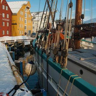 36. Midnight Sun Marathon – Tromso, Norwegen